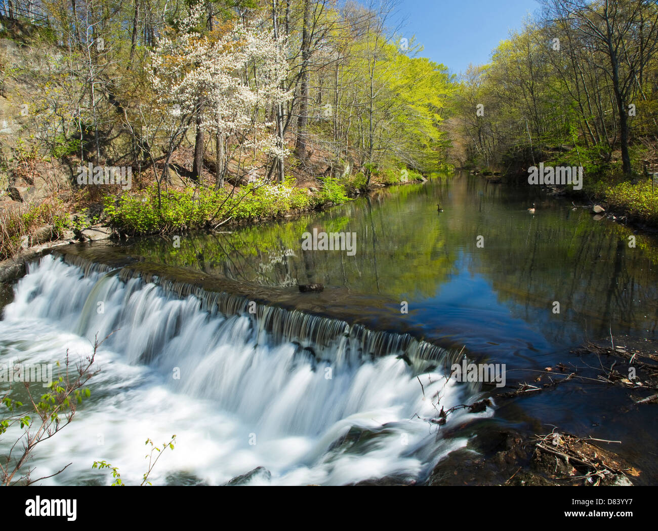 Time Lapse Waterfall and Stream (soft motion blur) Stock Photo