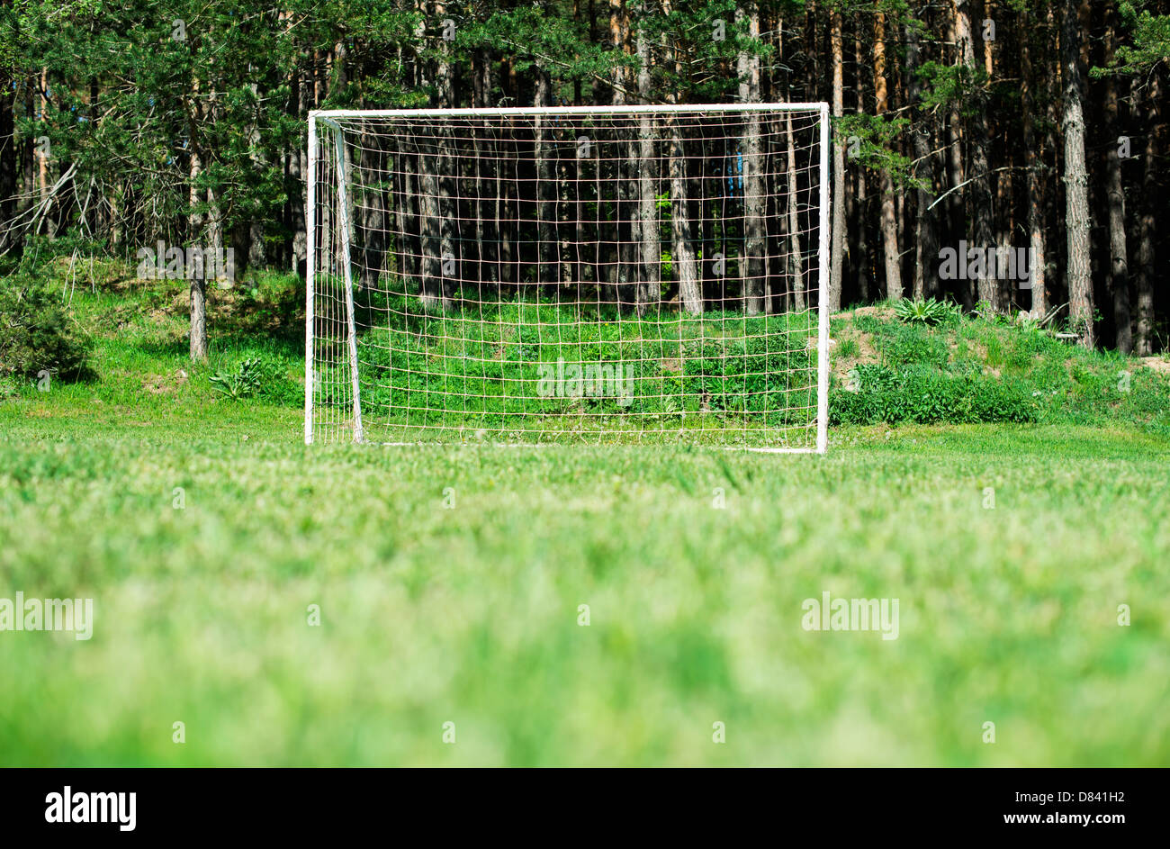 Football gate with net in a forest Stock Photo