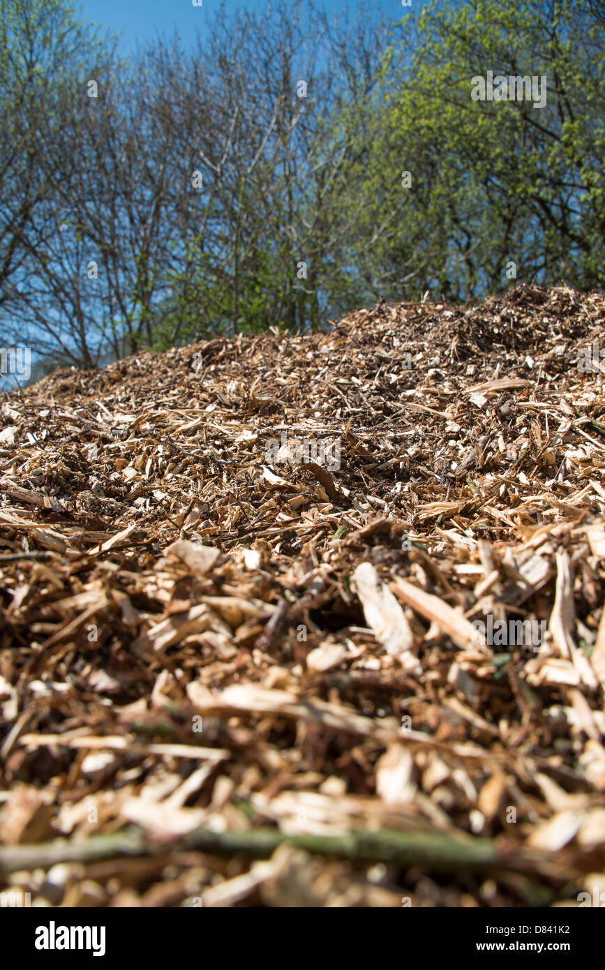 Mountain of wood chip mulch Stock Photo