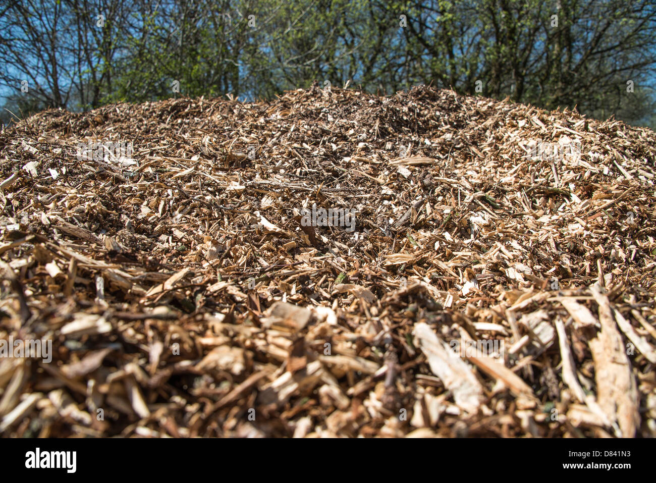 Mountain of wood chip mulch Stock Photo