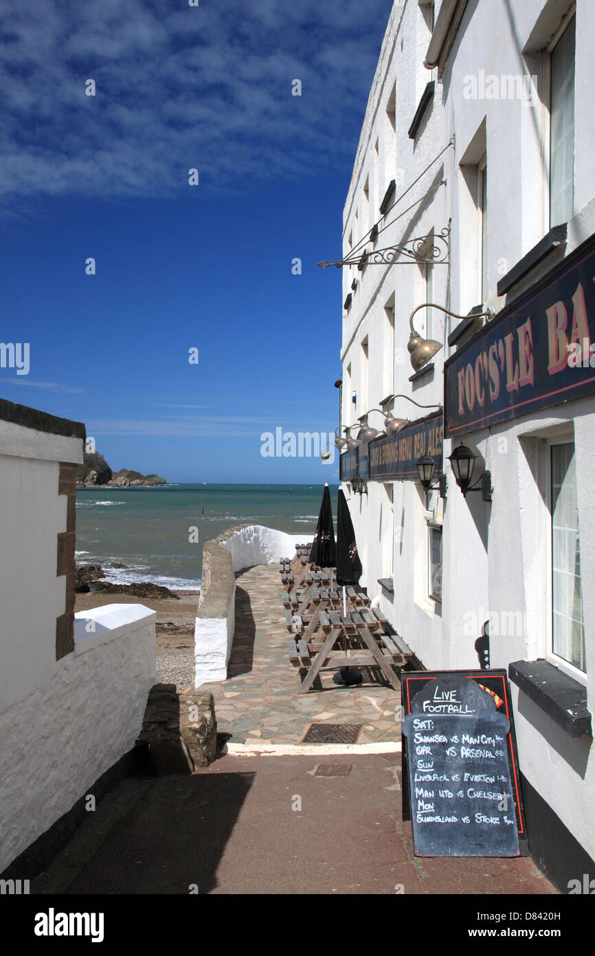 House martin pub hires stock photography and images Alamy