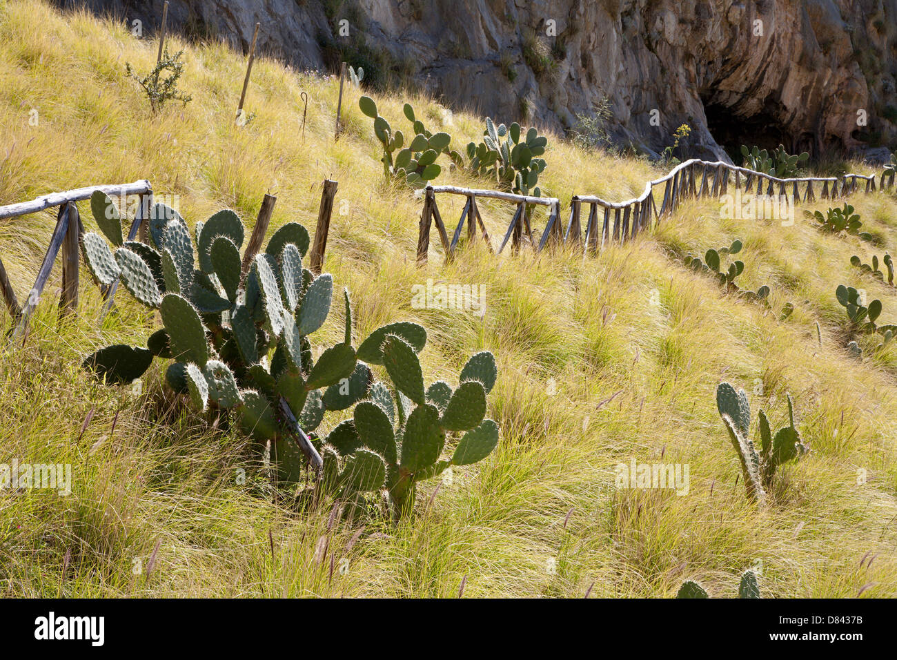 Palermo landscape under mt. Pelegrino Stock Photo Alamy