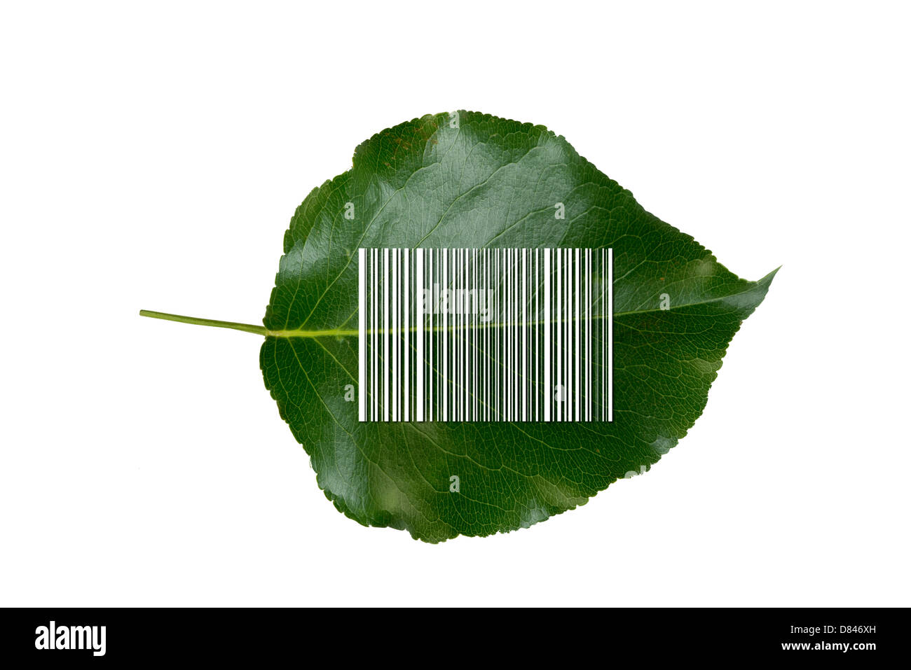 Bar Code on green leaf. Stock Photo