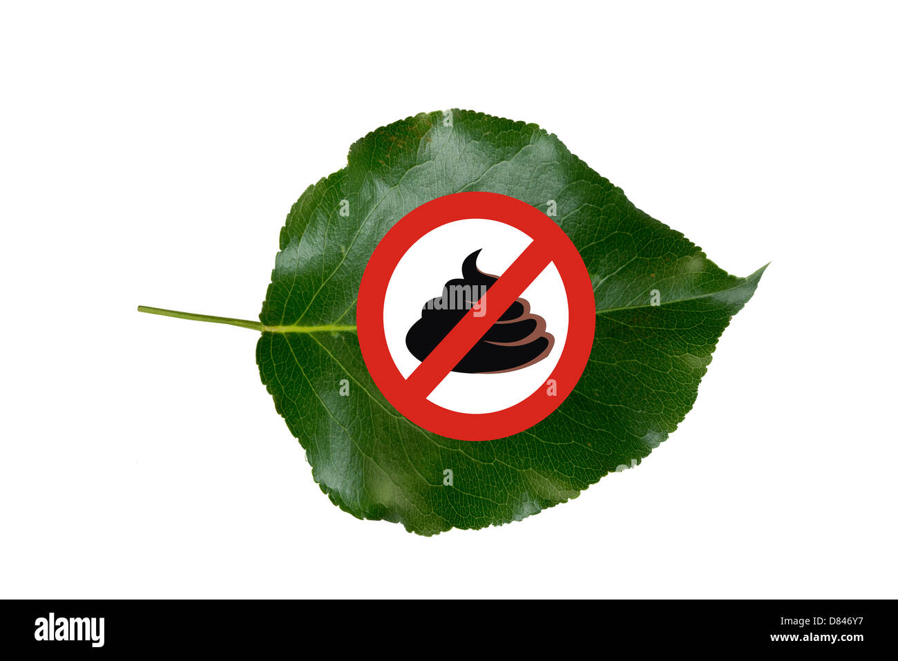 No Poop on green leaf Stock Photo Alamy