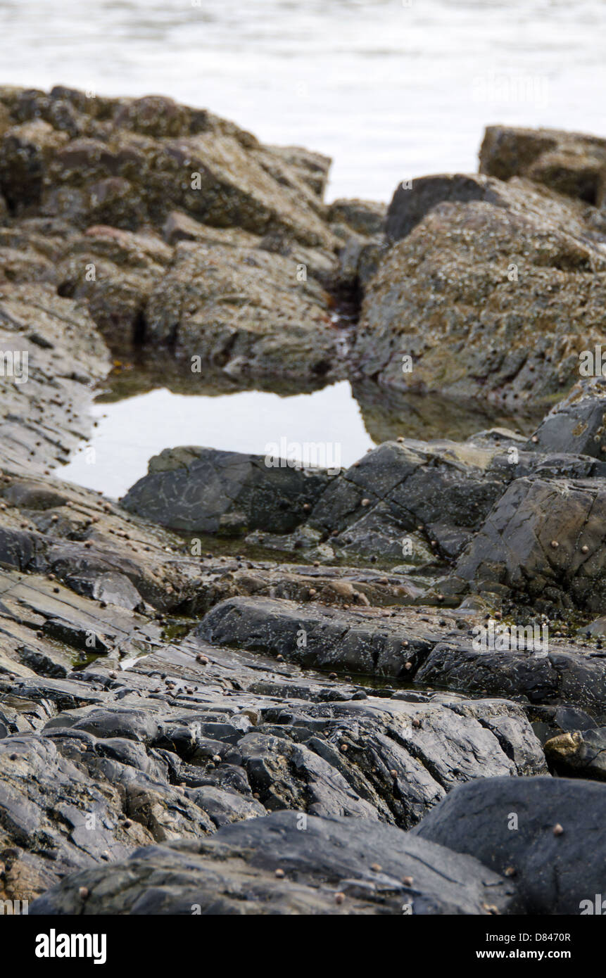 Pool among rocks hi-res stock photography and images - Alamy