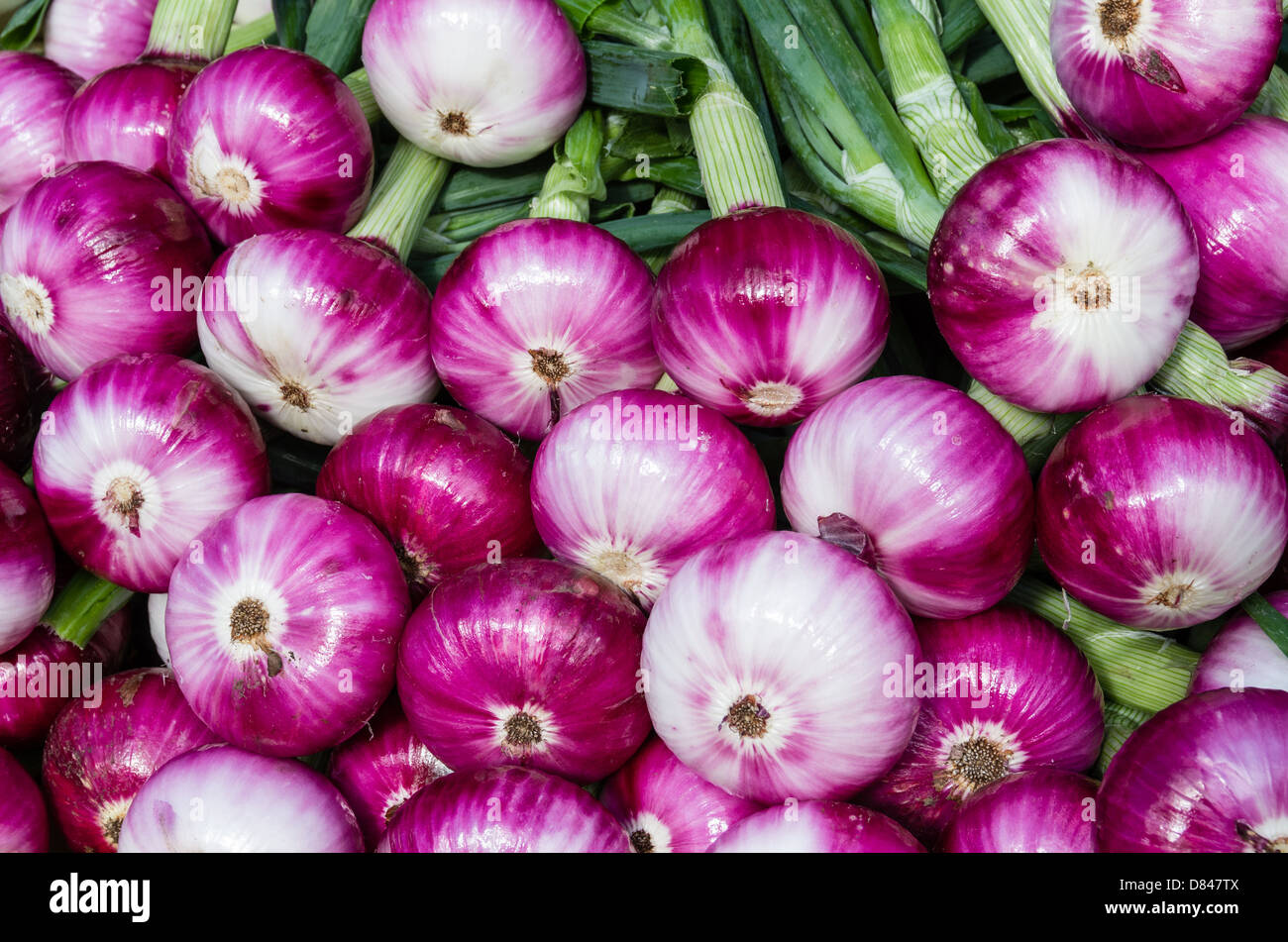 Freshly harvested red onions on display at the farmers market Stock ...