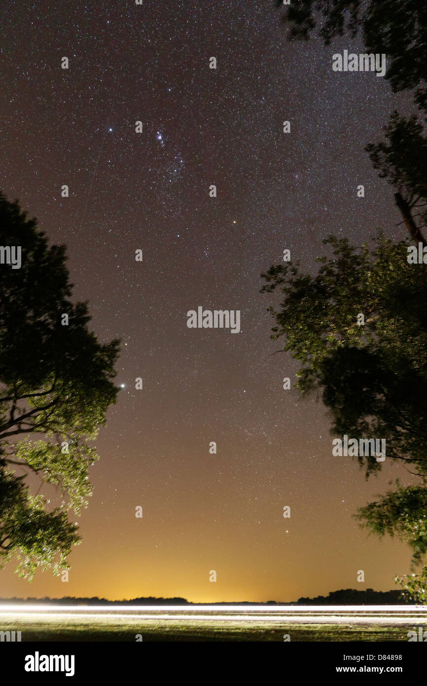 The Orion constellation between a couple of trees from a rural location, Buenos Aires, Argentina. Stock Photo