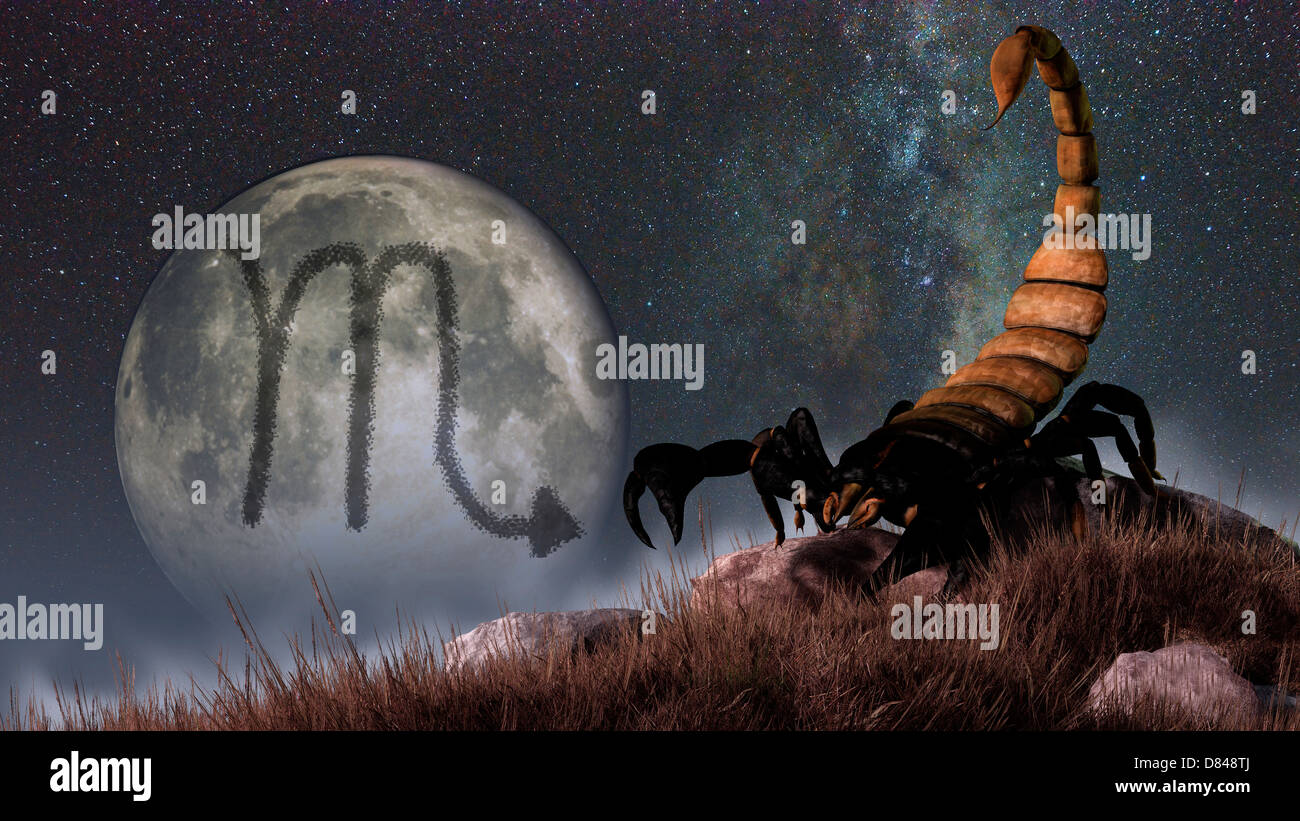 Scorpio is the eighth astrological sign of the Zodiac. Its symbol is the scorpion. Stock Photo