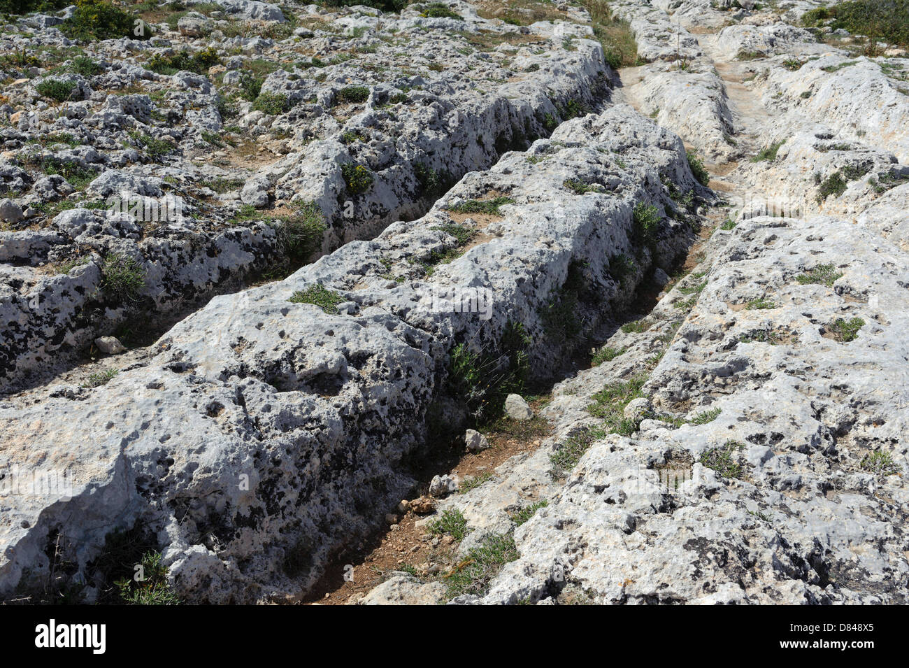 Cart Ruts Clapham Junction, Malta Stock Photo