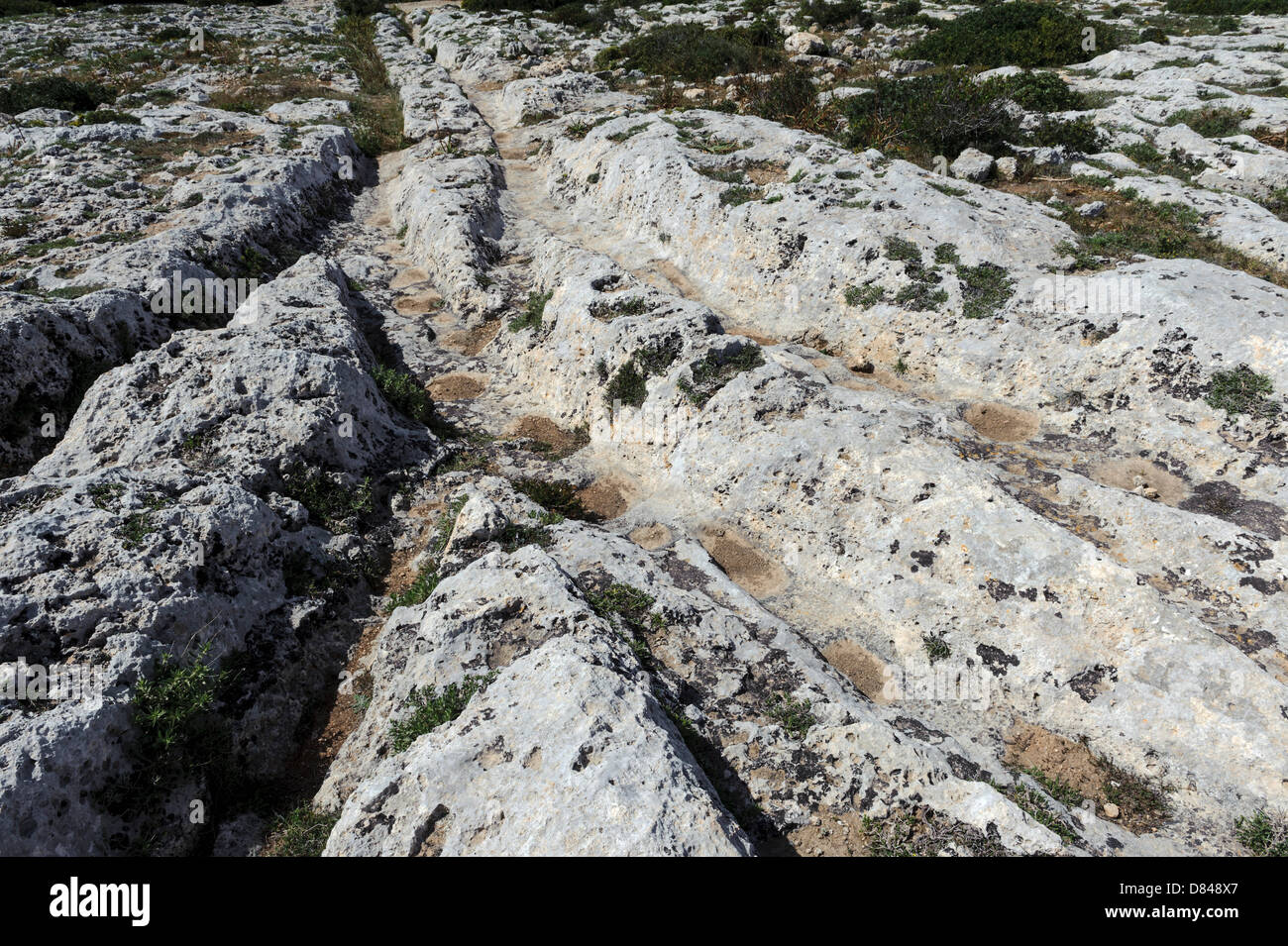 Cart Rutz Cart Ruts Clapham Junction, Malta Stock Photo - Alamy