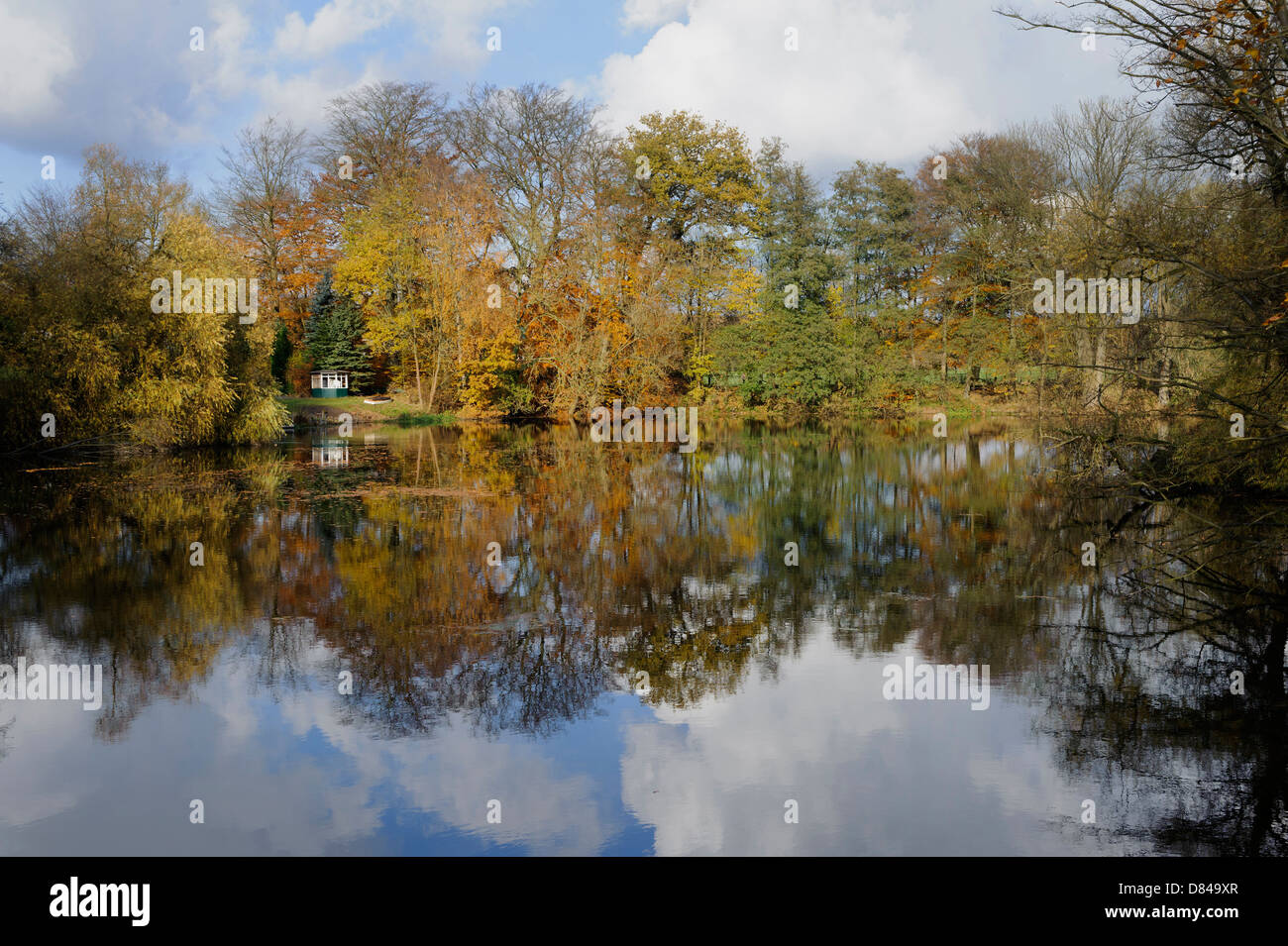 Kupferteich in the Walddörfer, Hamburg, Germany Stock Photo Alamy