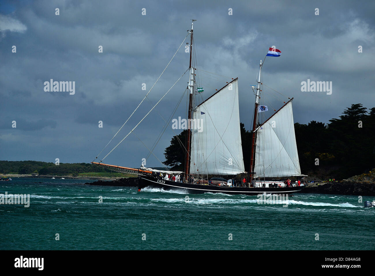 Iris : ketch (1916, homeport : Rotterdam, Netherlands),  in front of 'Ile Longue', during 'Semaine du golfe' . Stock Photo