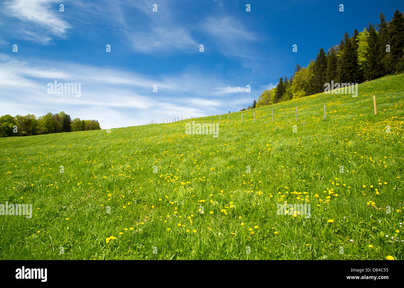 A sloping swiss landscape taken in Baselland, Switzerland Stock Photo