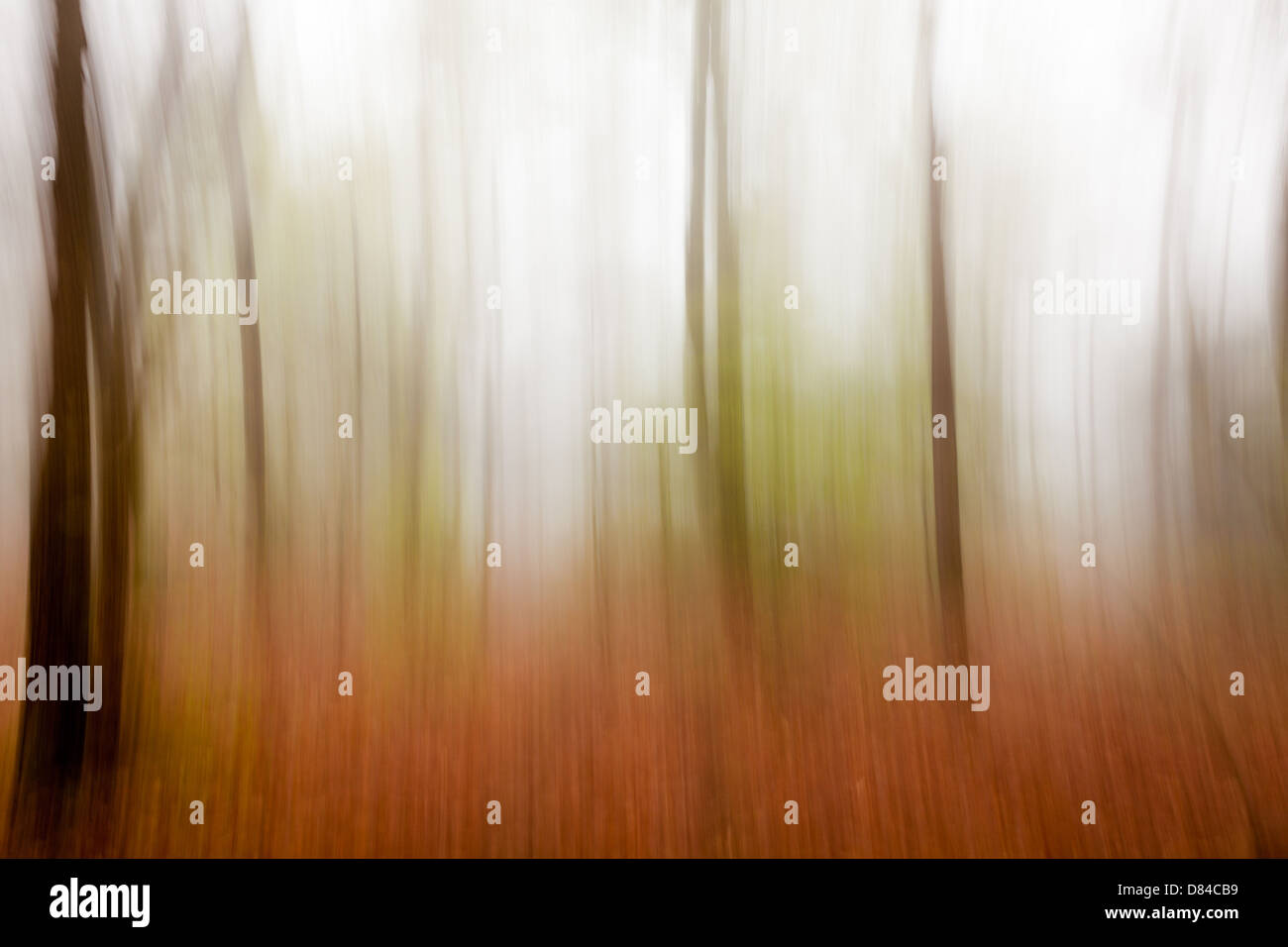 Artistic blurred trees from Faux de Vazy, France Stock Photo