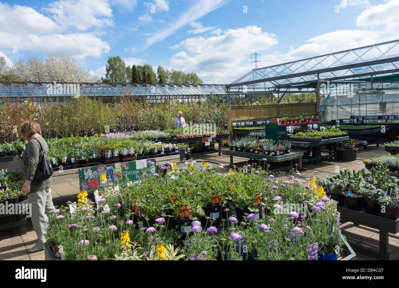 Ashwood Nurseries High Resolution Stock Photography And Images Alamy