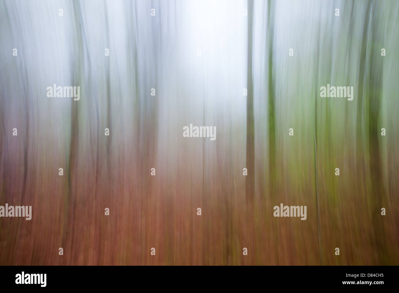 Artistic blurred trees from Faux de Vazy, France Stock Photo
