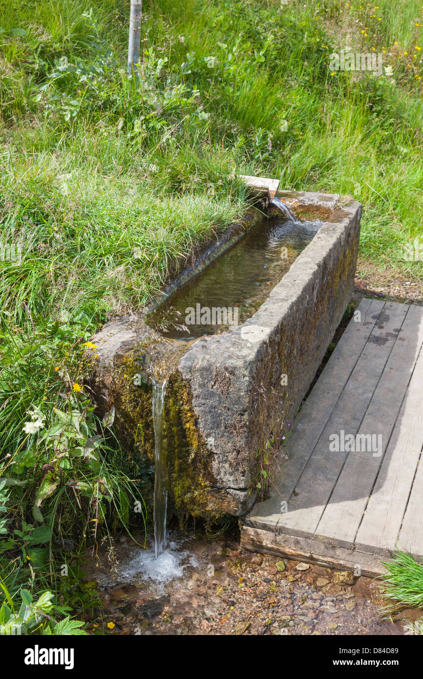 Water troughs with clean clear drinking water Stock Photo