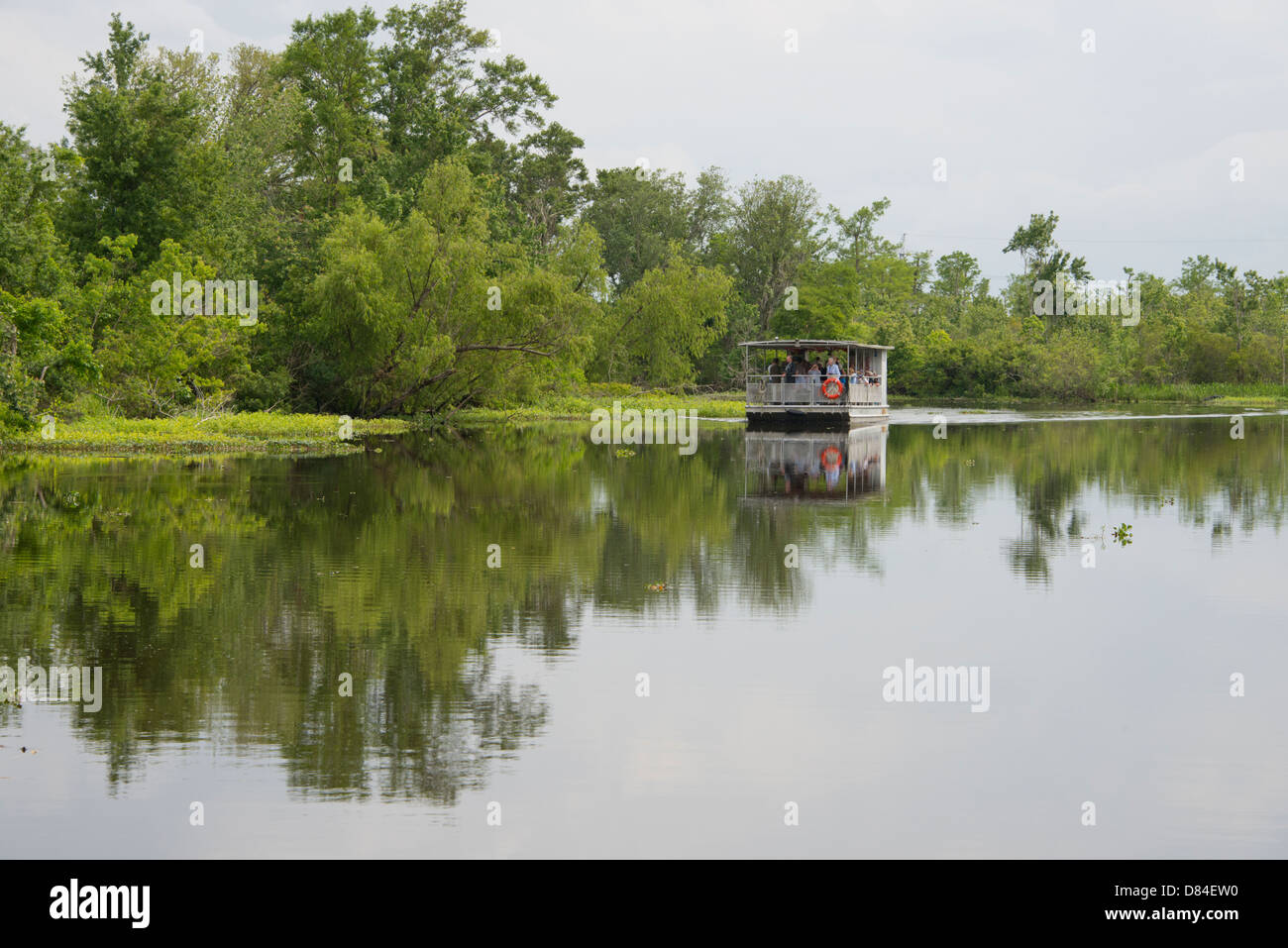 Escape to the Bayou: Your Louisiana Adventure Awaits at Jean Lafitte RV Park