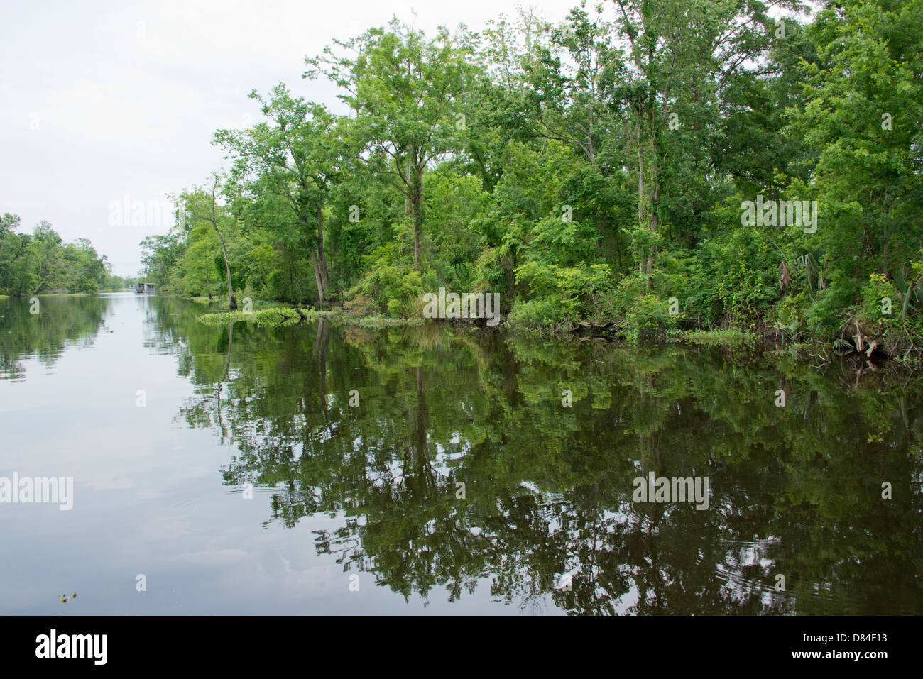 Louisiana, New Orleans, Lafitte. Jean Lafitte National Historical Park