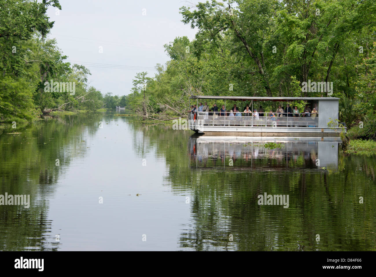 Louisiana swamp boat historical hi-res stock photography and images - Alamy
