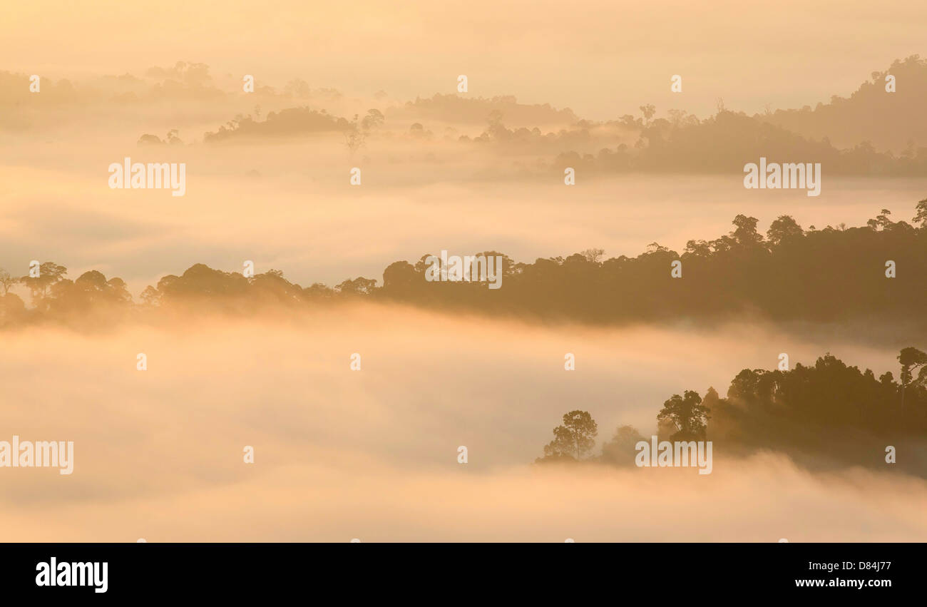 Cloud wreathed rainforested hills in the Danum Valley Sabah Borneo at first light Stock Photo