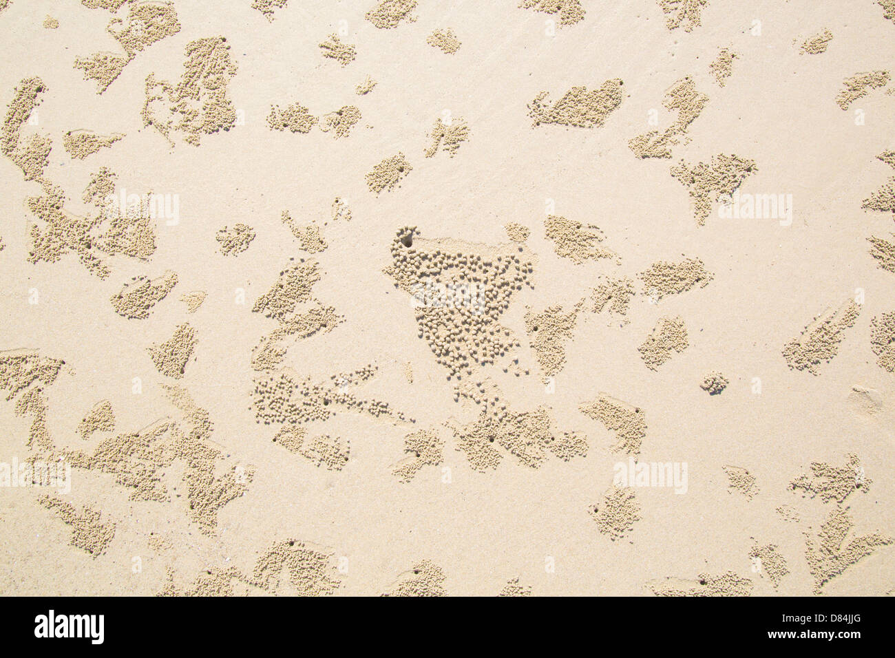 Patterns on a Borneo beach made by burrowing Sand Crabs Stock Photo