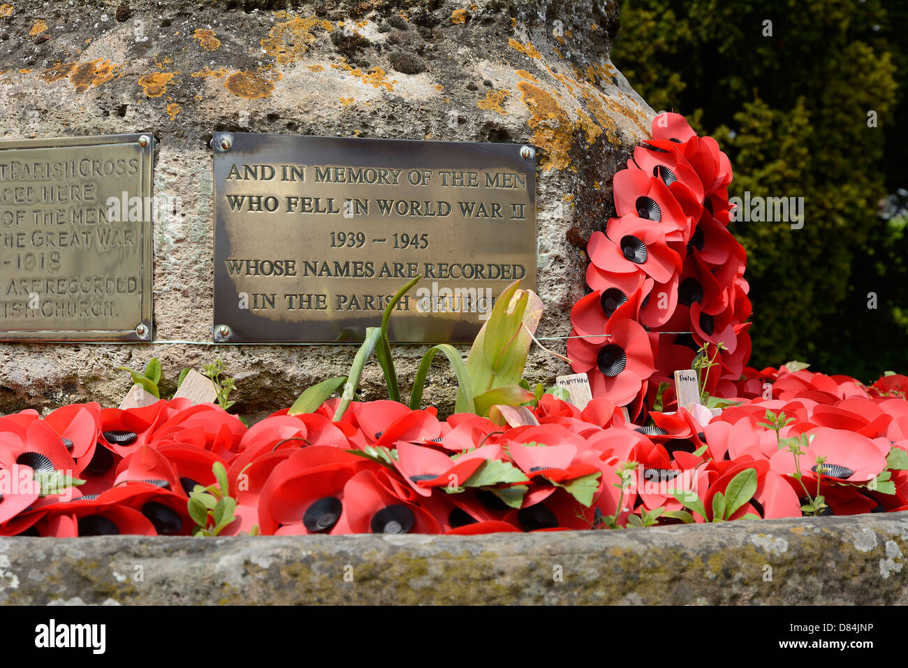 poppy-wreathes-on-an-english-town-war-memorial-for-members-of-the-D84JNP.jpg