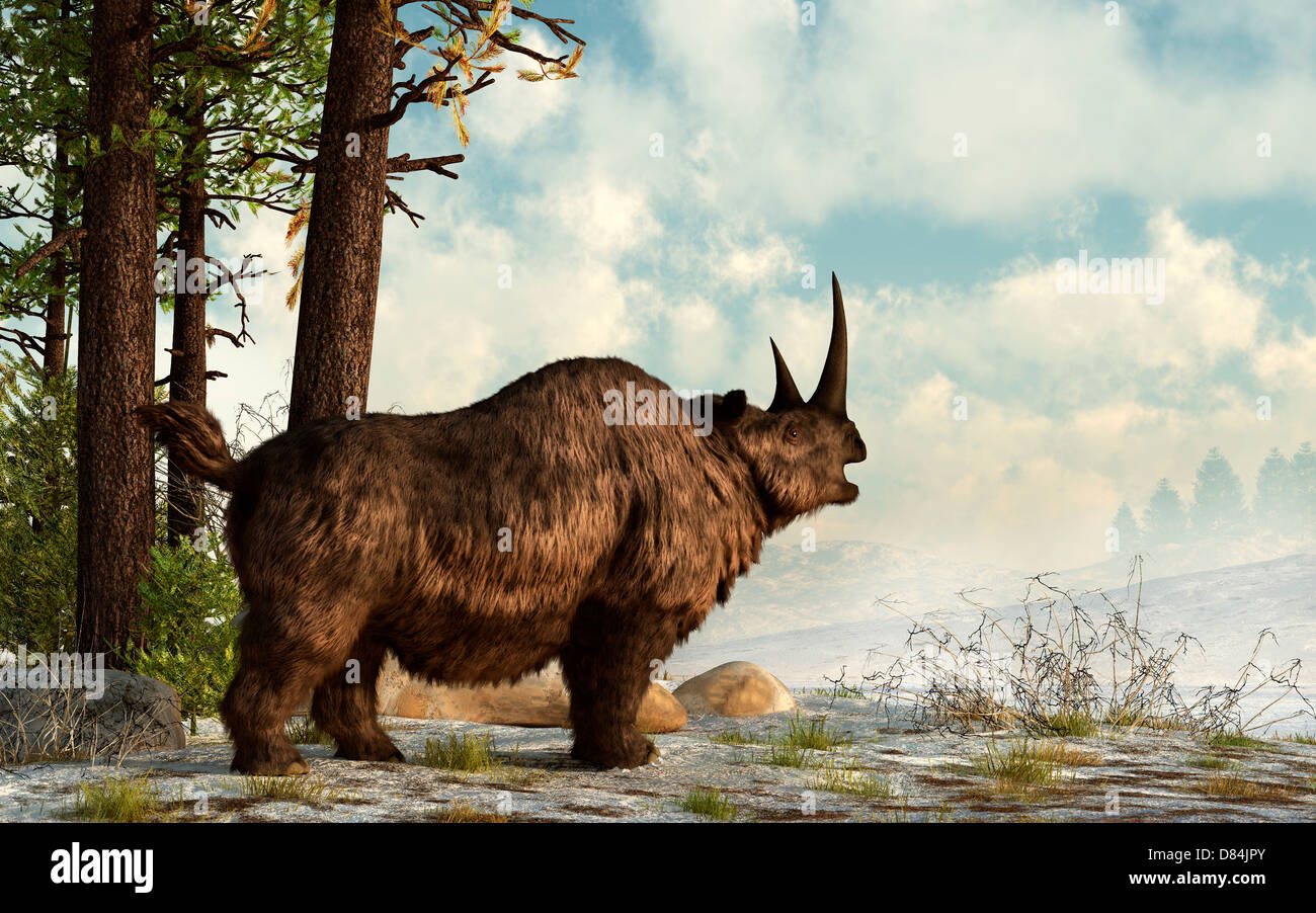 A woolly rhinoceros trudges through the snow, Pleistocene epoch Stock ...