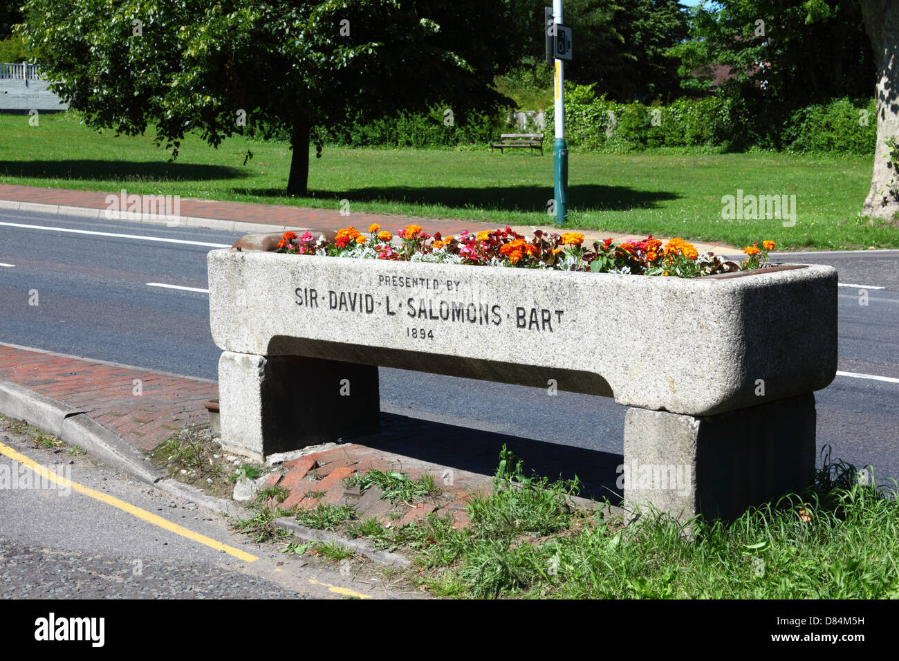 Flowers in granite horse drinking trough next to A26, a gift from Sir David Lionel Salomons to Southborough in 1894, Southborough Common, Kent, UK Stock Photo