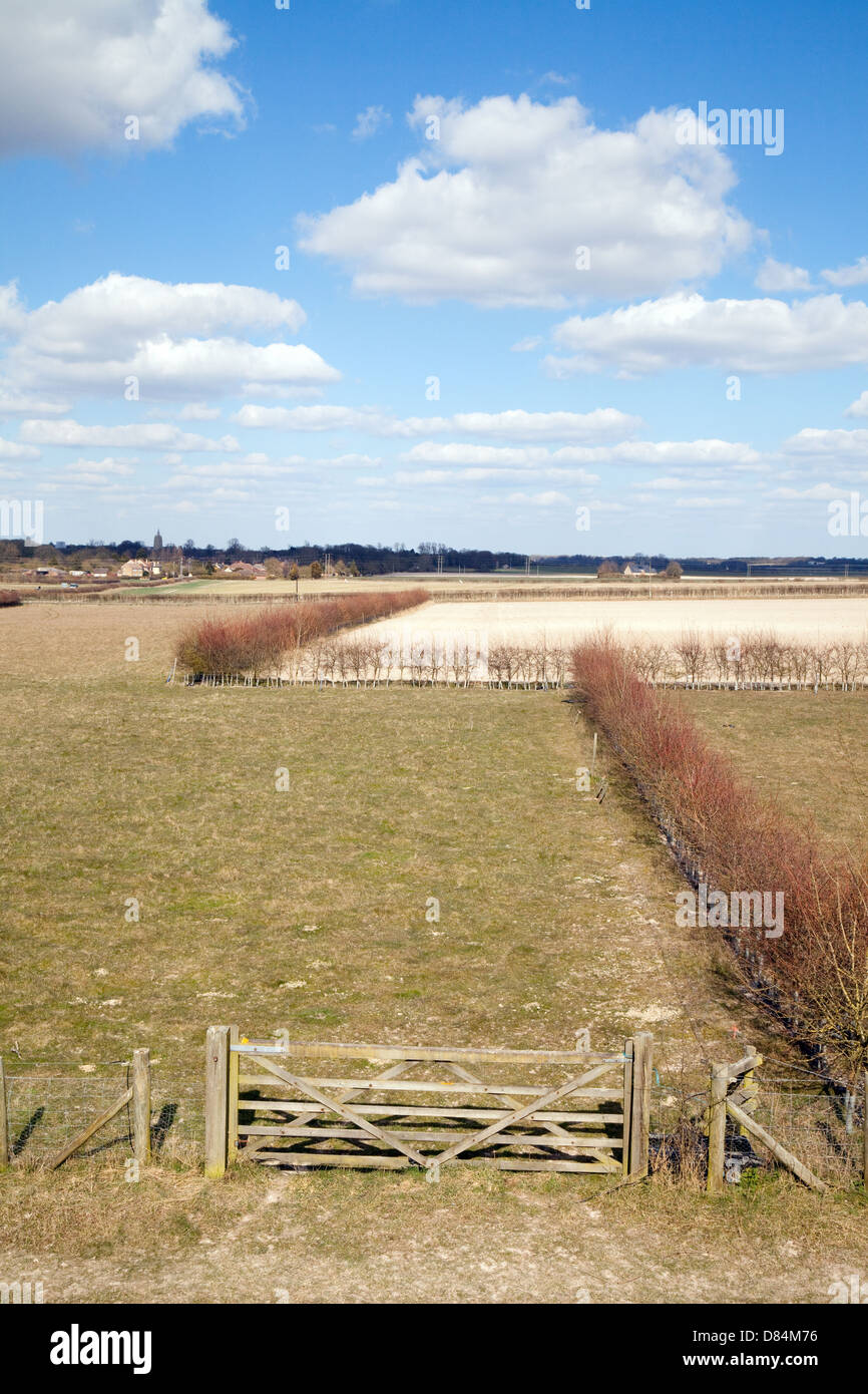 Fields in the Cambridgeshire countryside near Swaffham Prior on a spring day in April East Anglia UK Stock Photo