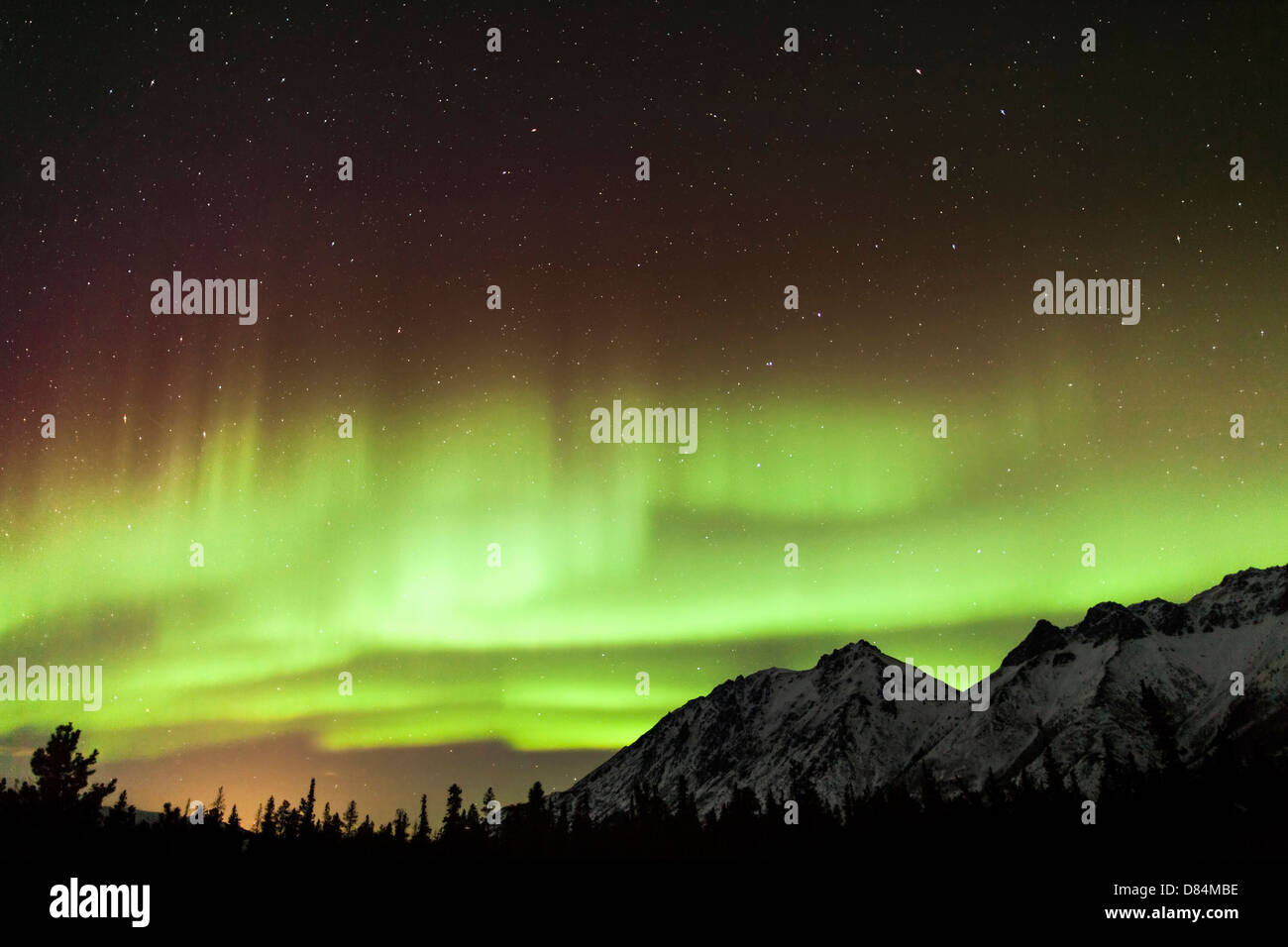 Bright aurora borealis, Annie Lake, Yukon Territory, Canada. Stock Photo