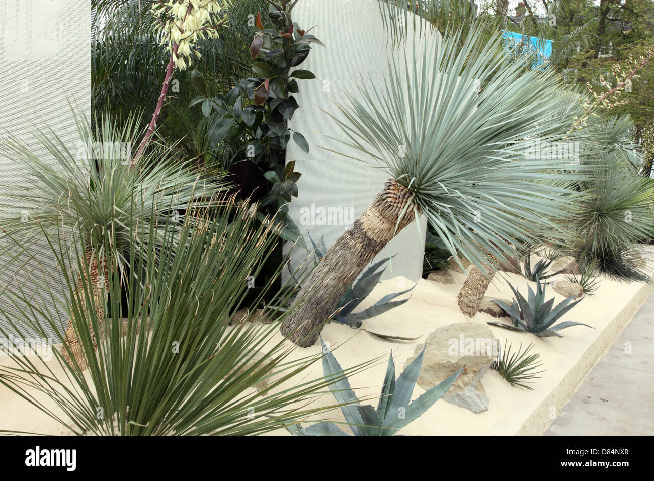 Juxtaposition, show garden at RHS Chelsea Flower Show 2013 by Jack Dunckley, youngest exhibitor Stock Photo