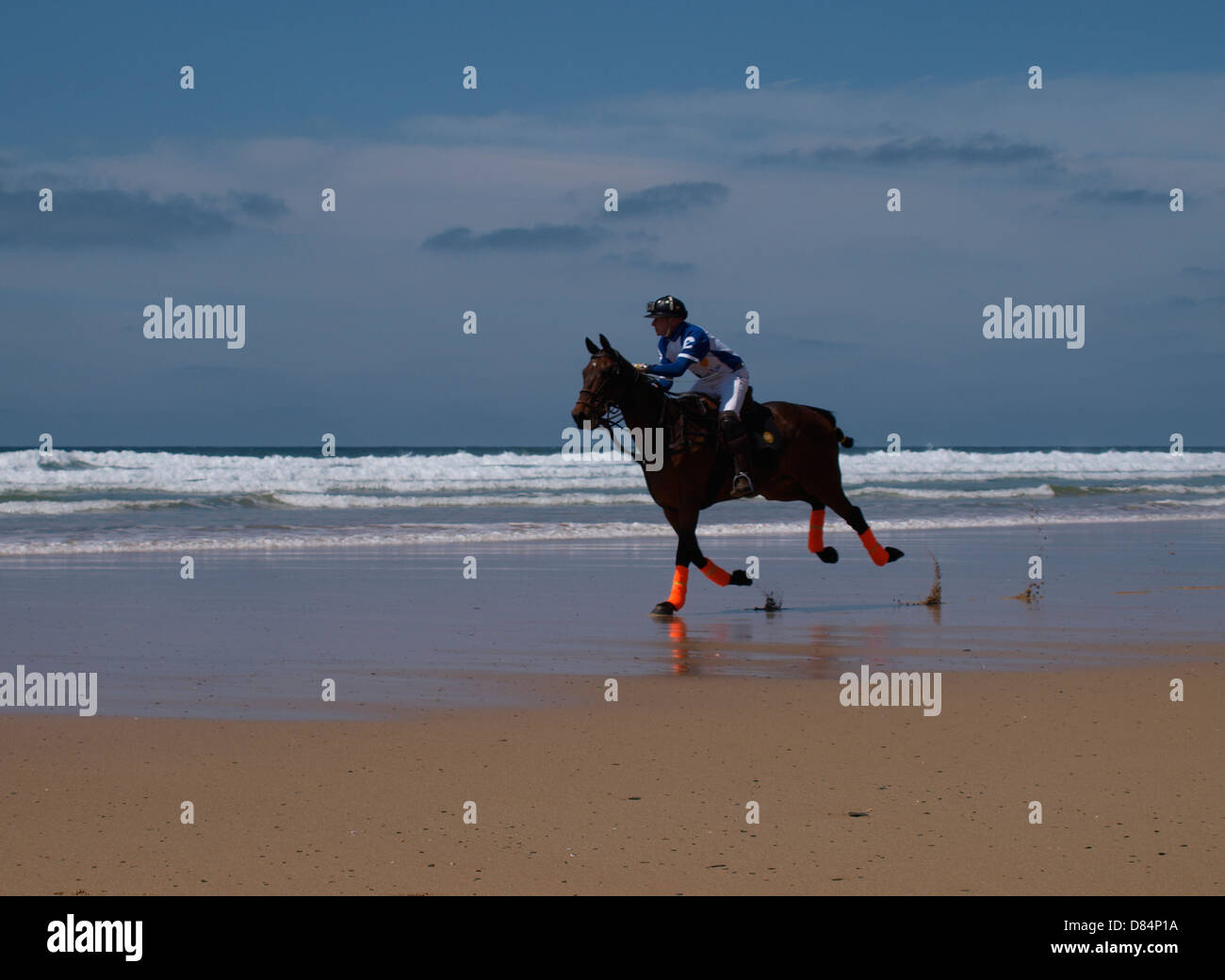 Polo player riding horse along the beach, Watergate Bay, Cornwall, UK 2013 Stock Photo