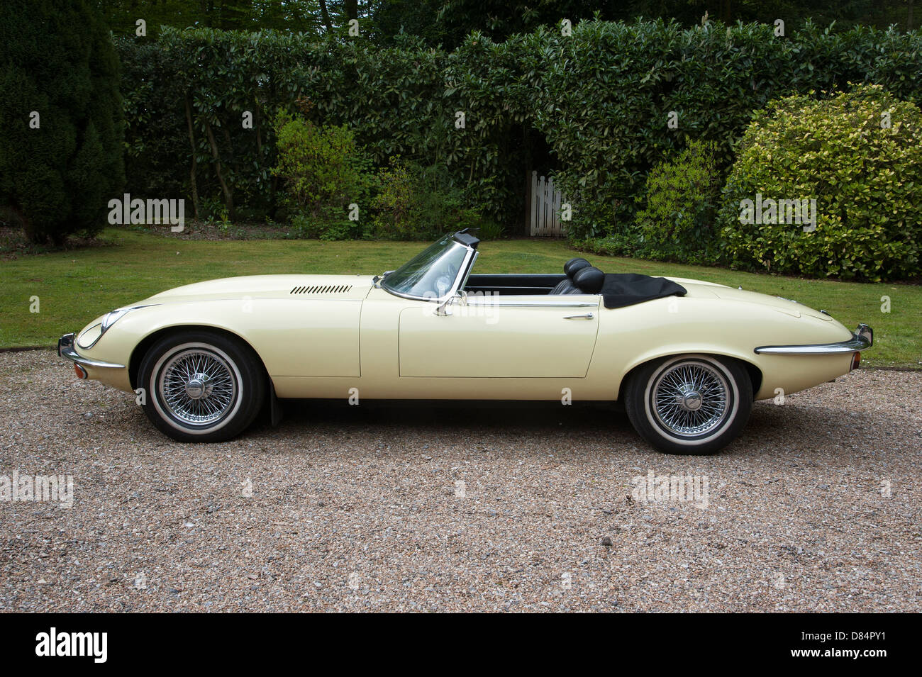 Jaguar v12 hi-res stock photography and images - Alamy