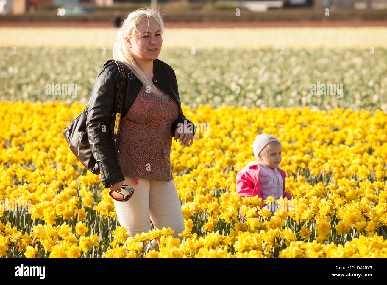 A mother and child in Daffodil fields near Keukenhof gardens, Lisse, Netherlands. Stock Photo