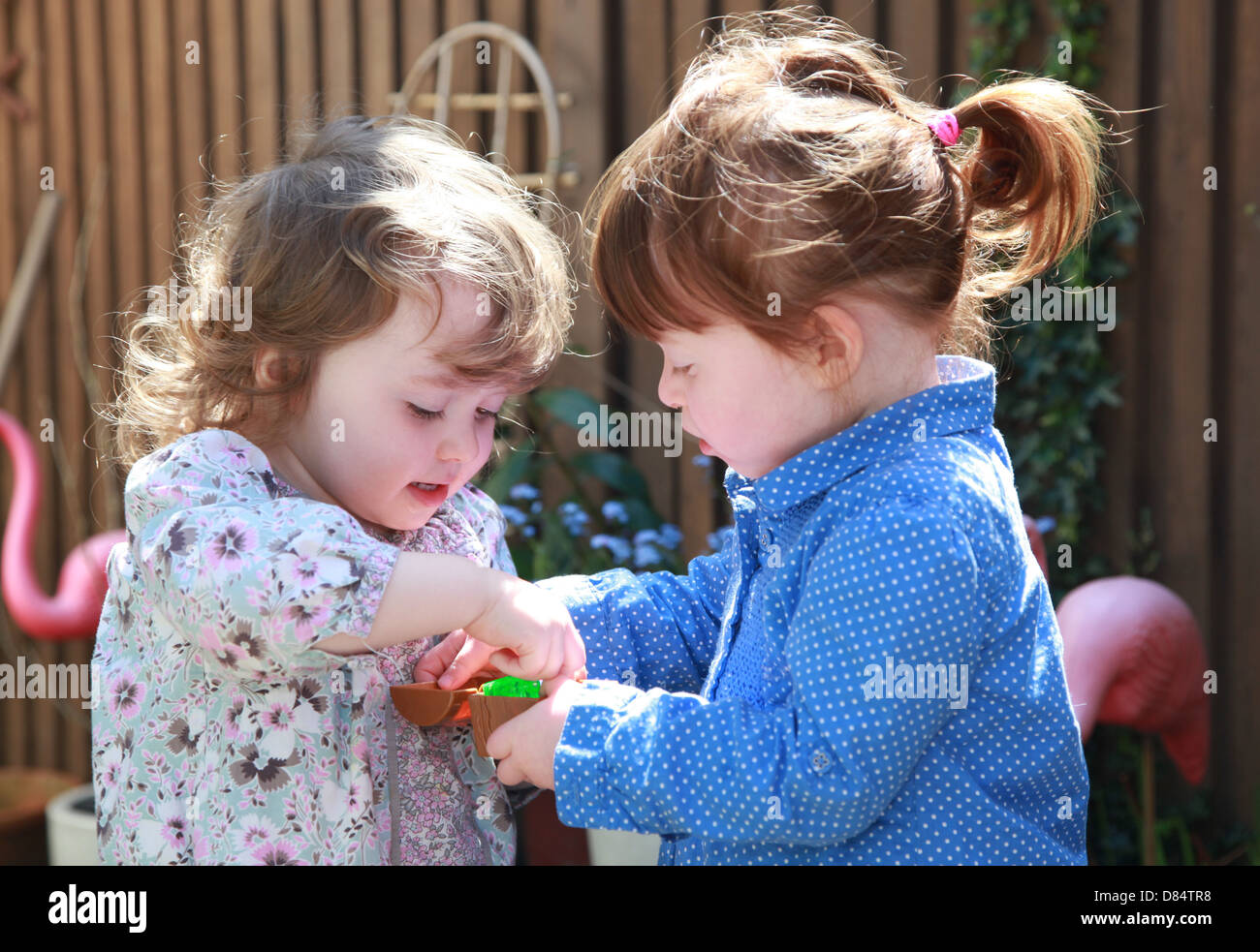 2 year old twin girls playing and sharing Stock Photo Alamy