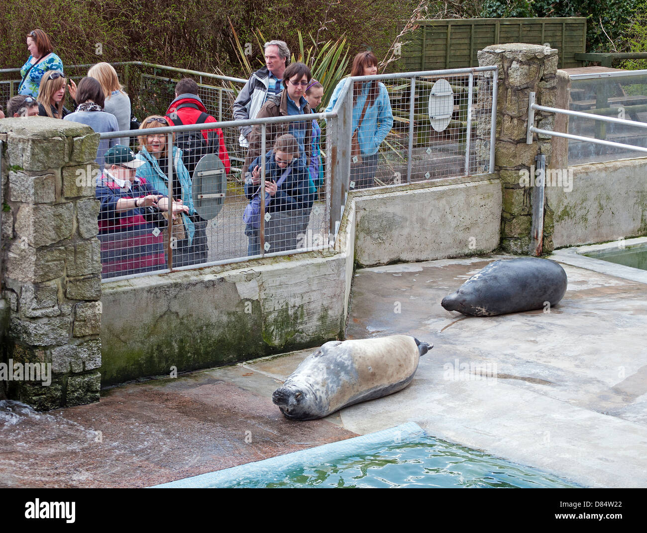 Visitors watching the seals at the Gweek seal sanctuary in Cornwall, UK