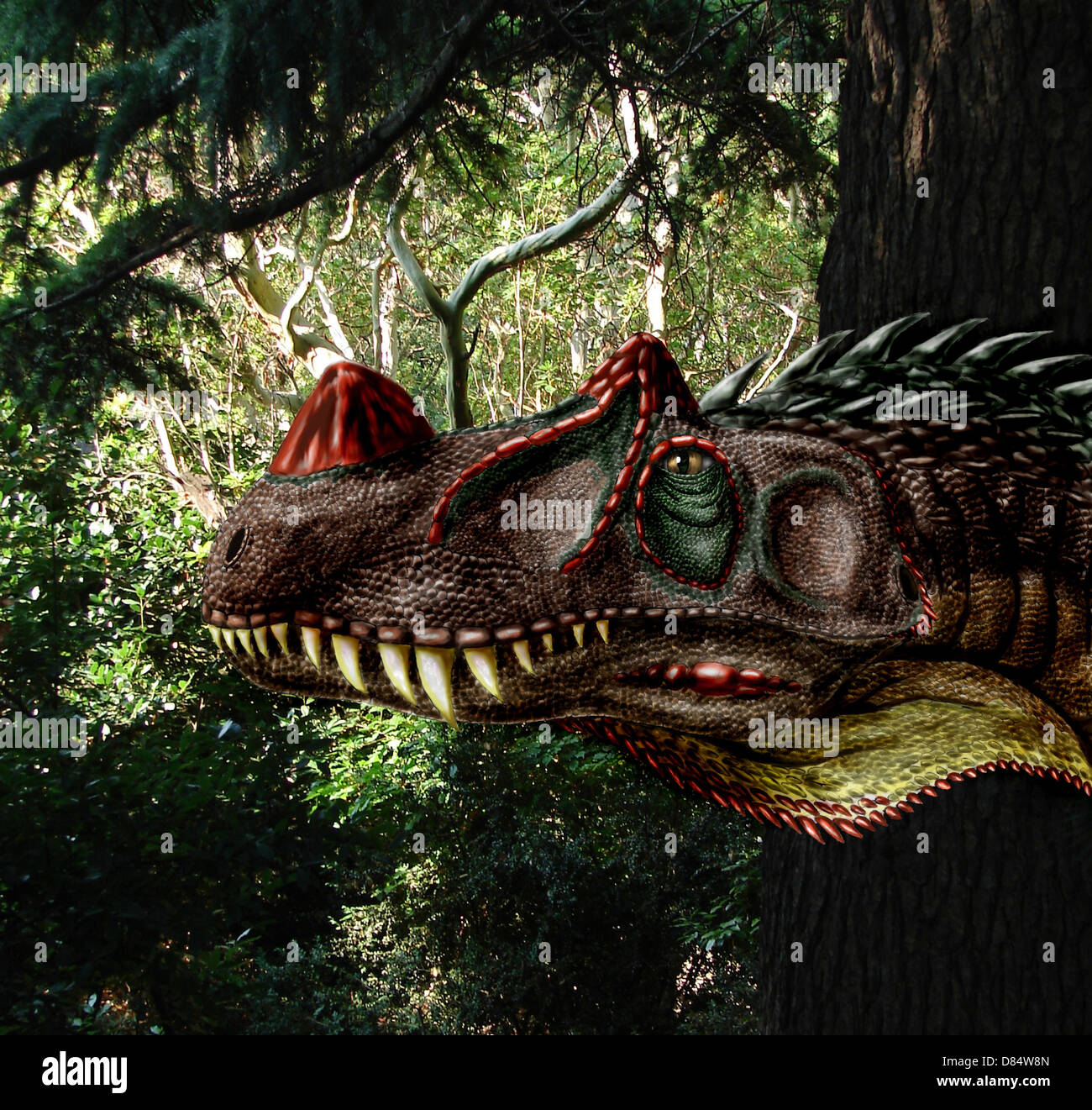 Ceratosaurus magnicornis of the Late Jurassic Period. Stock Photo