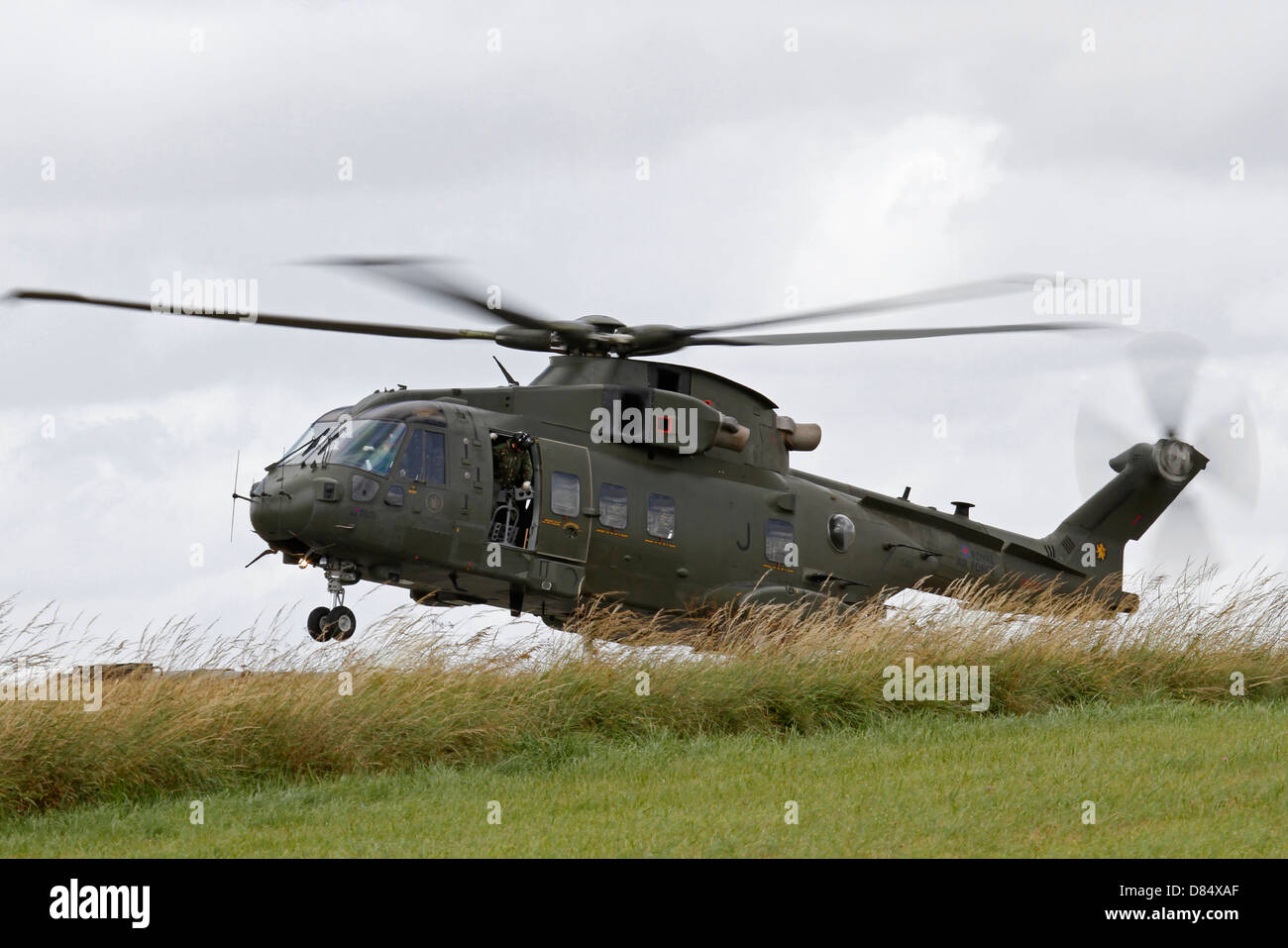An AW101 Merlin helicopter of the Royal Air Force landing in the field