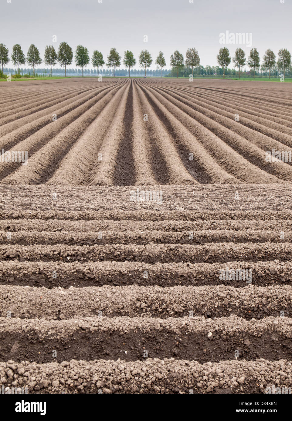 Farm Ridges Hd Farming field ridges soil hi-res stock photography and images - Alamy