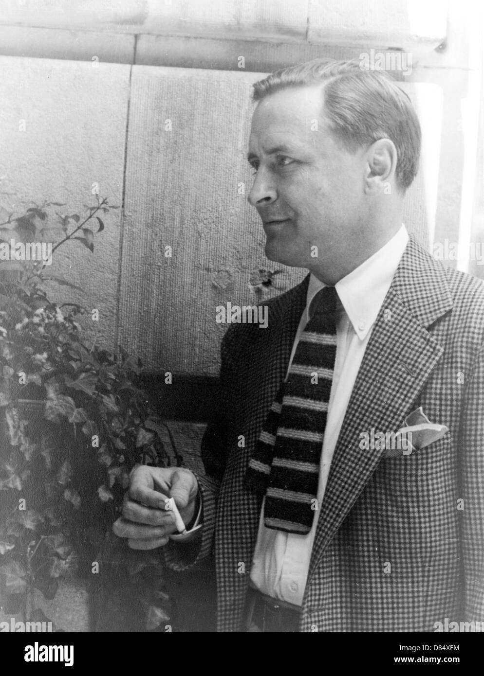 F Scott Fitzgerald, Francis Scott Key Fitzgerald, American author. Stock Photo