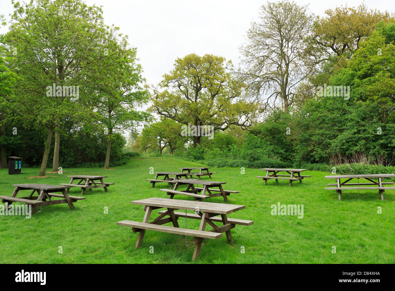 Picnic tables park benches at Ferry Meadows Country Park, Peterborough, England Stock Photo