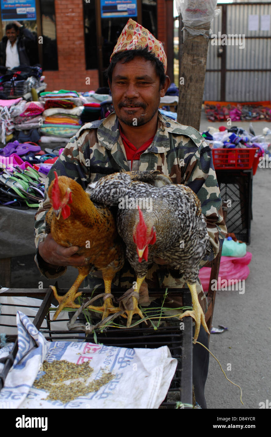 chicken vendor in Nepal Stock Photo - Alamy