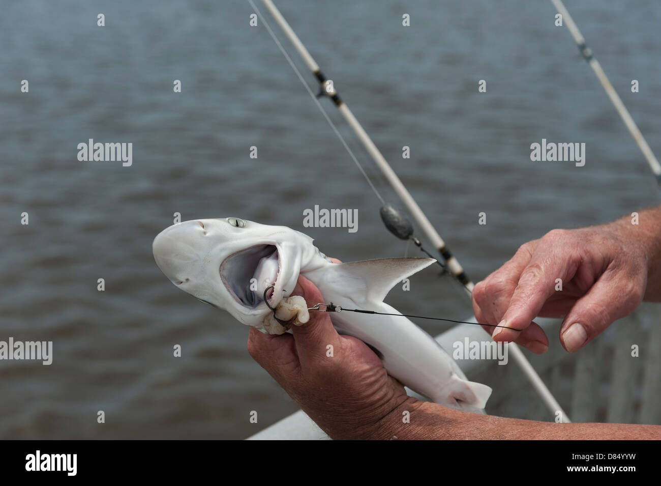 A man fishing on the public pier at Cedar Key Florida on the Gulf coast