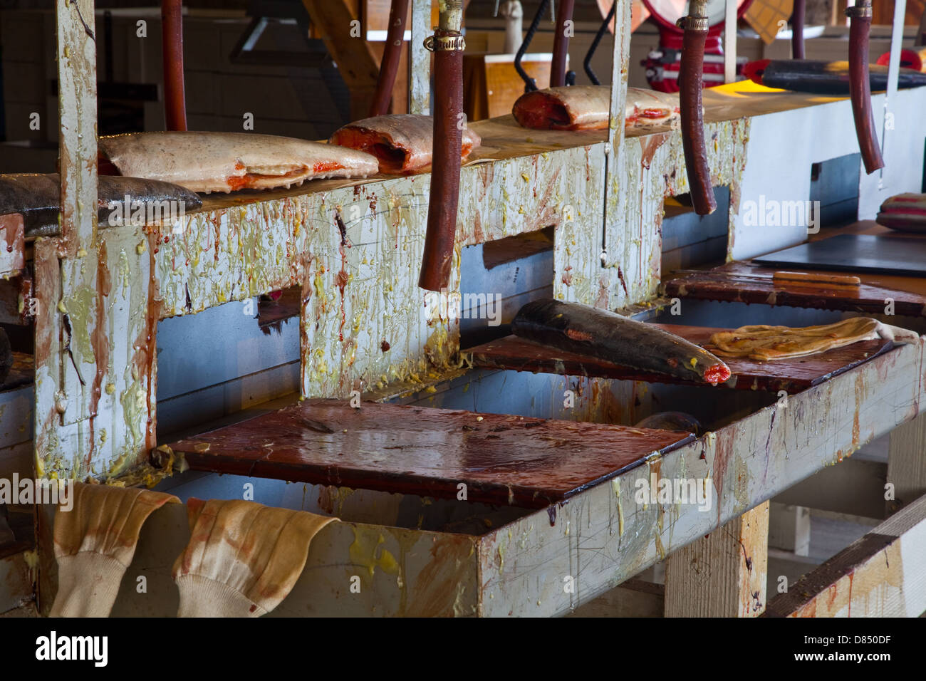 Museum exhibit of a Salmon canning factory, Steveston, Vancouver