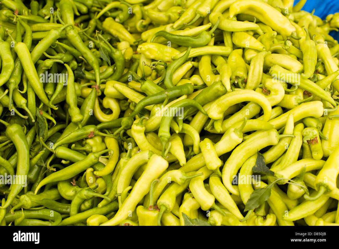 display of peppers at the market Stock Photo - Alamy
