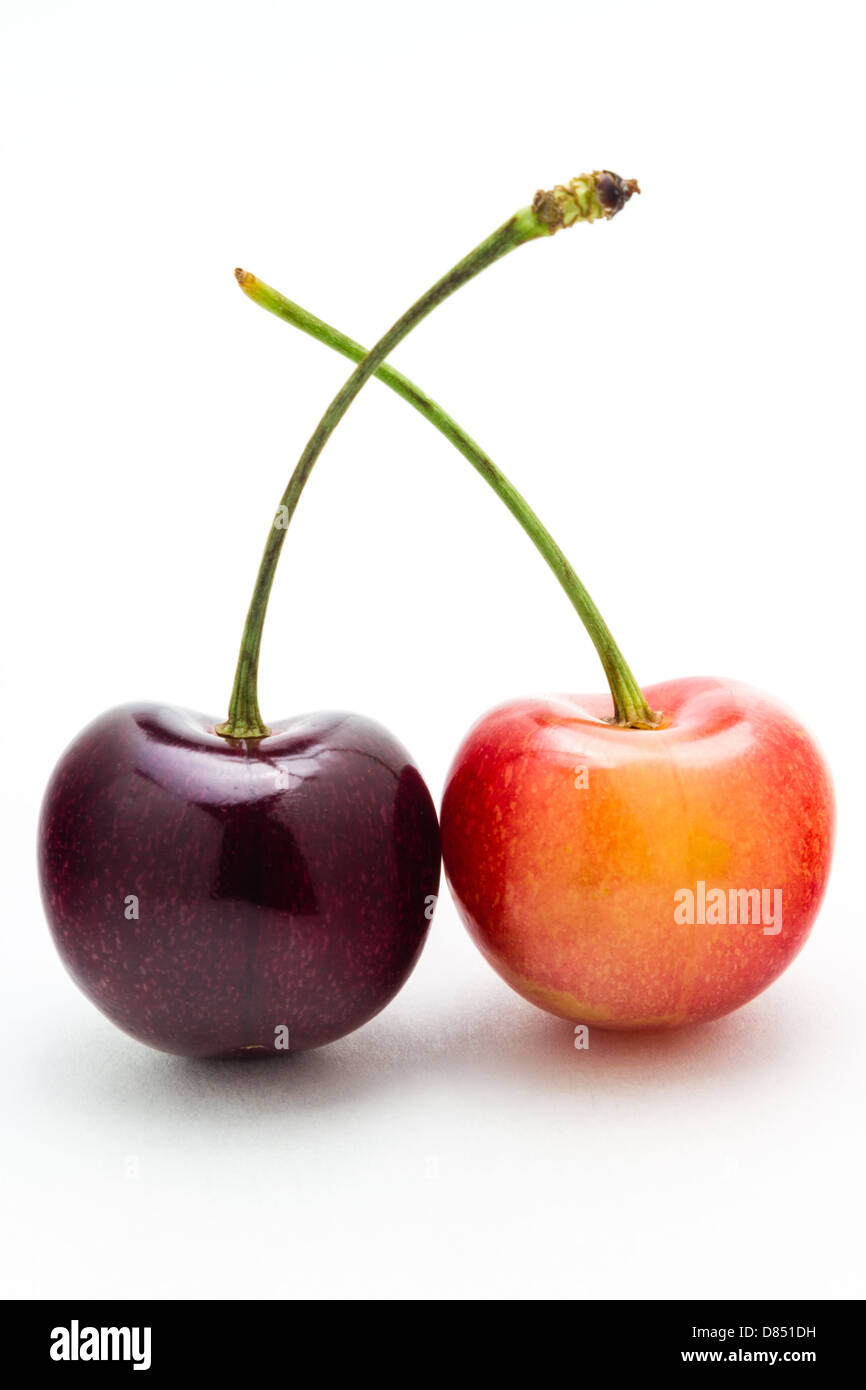 A rainier and black cherry isolated on a white background. Stock Photo