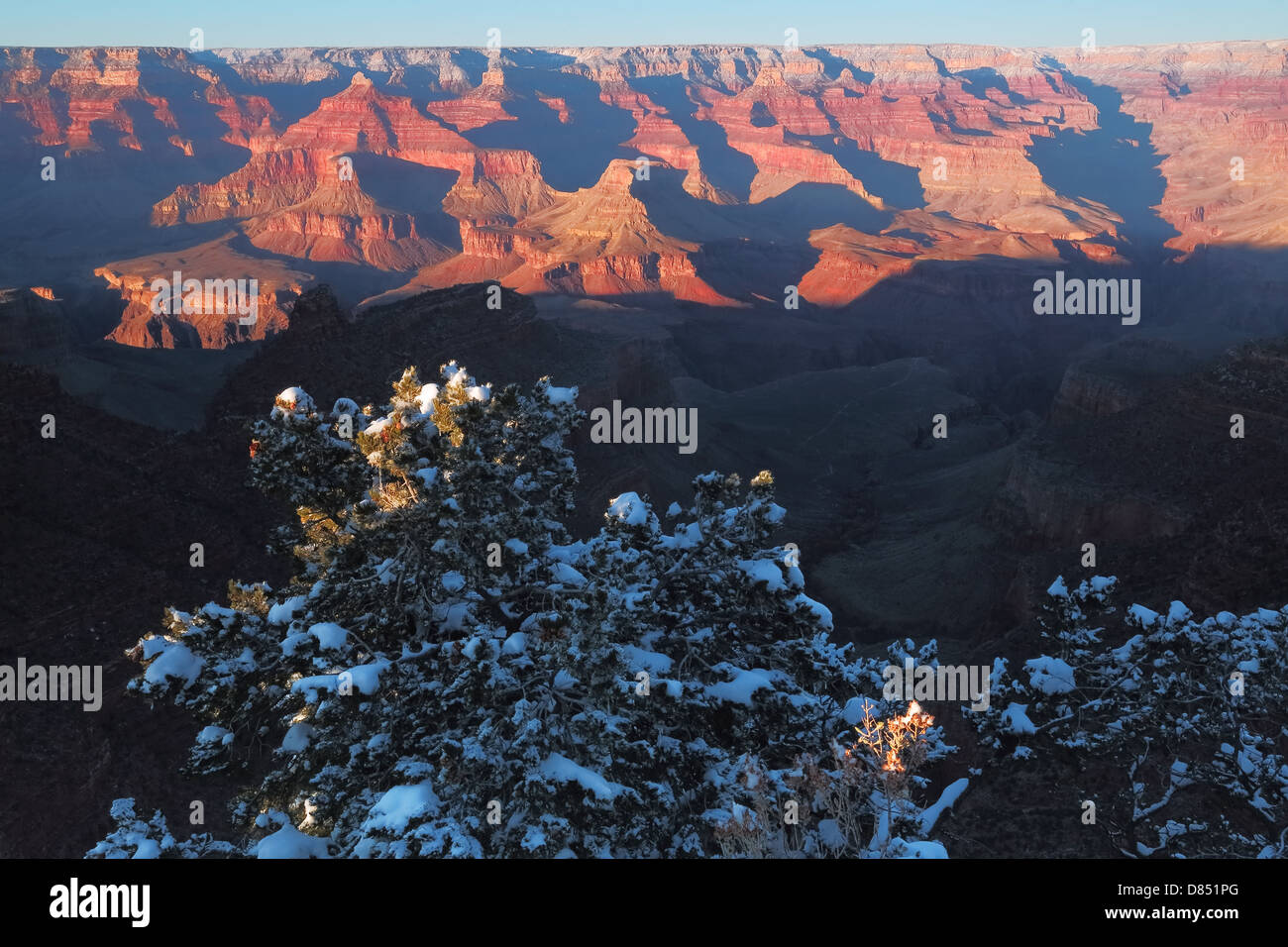 The beautiful South rim of the Grand Canyon, in the Southwest state of Arizona, U.S.A. Stock Photo