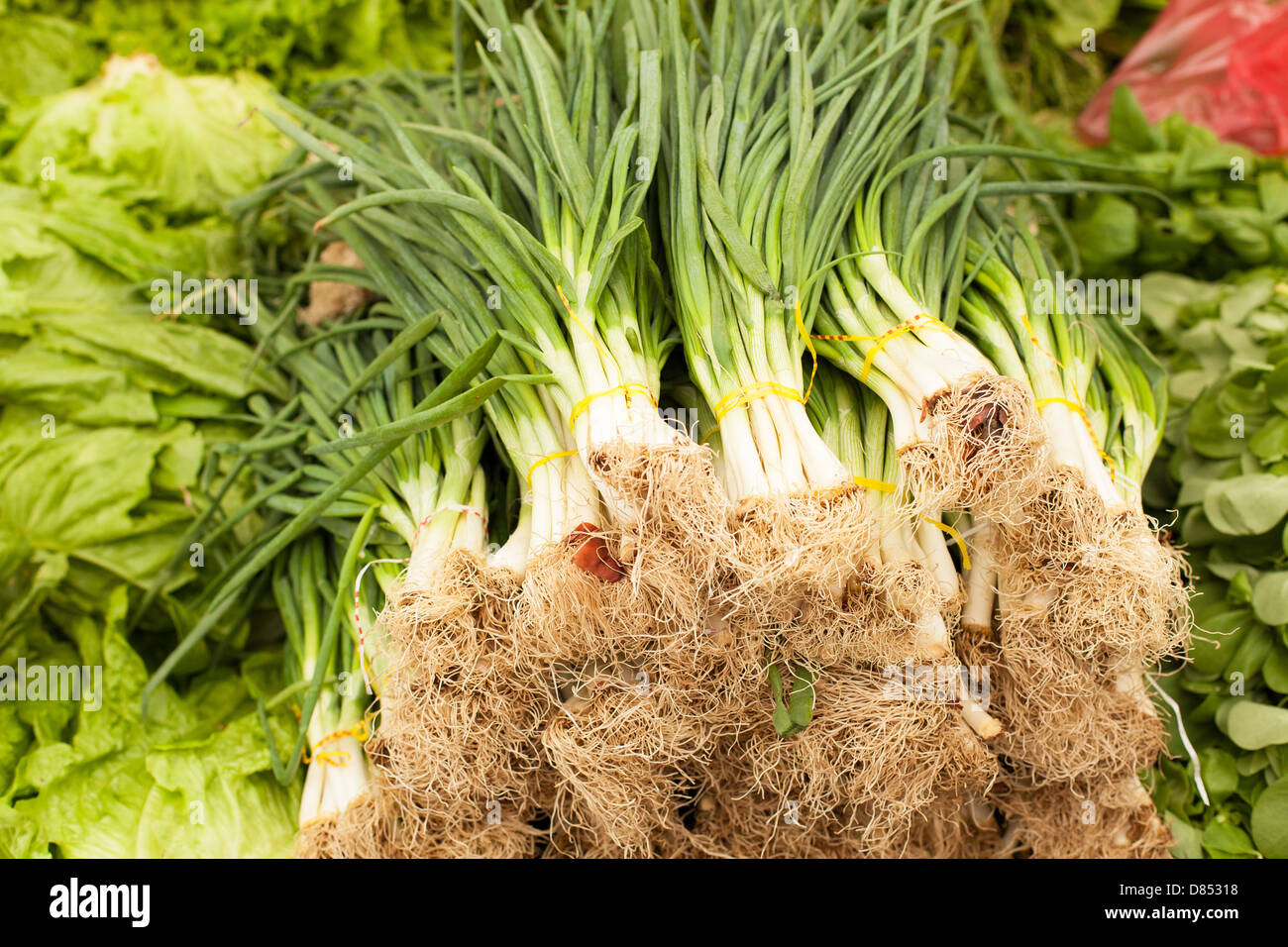 bunch of onions in the market Stock Photo - Alamy