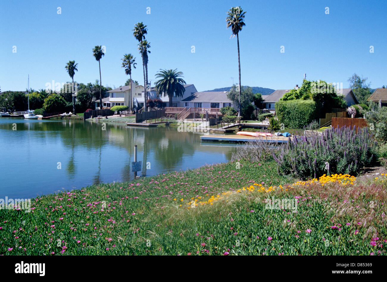 scenic view of Bel Marin Keys lagoon in Marin County Stock Photo Alamy